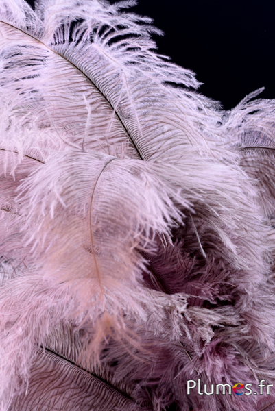 Autruche - 32-42 cm - gris clair-rose